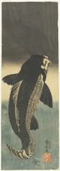 Schwarzer Karpfen, ca. 1842
